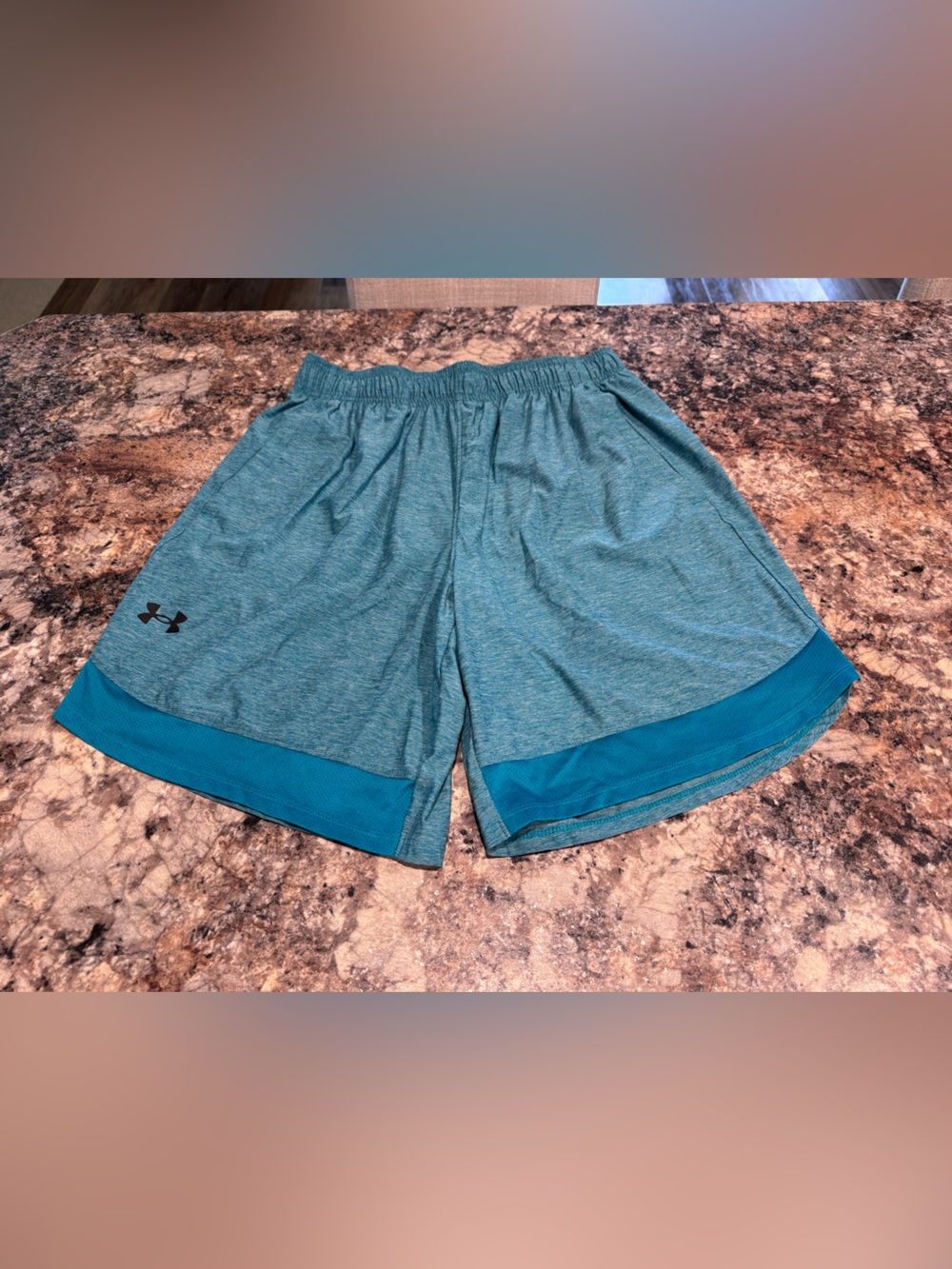 LG Men's Teal Athletic Shorts with Darker Teal Hem